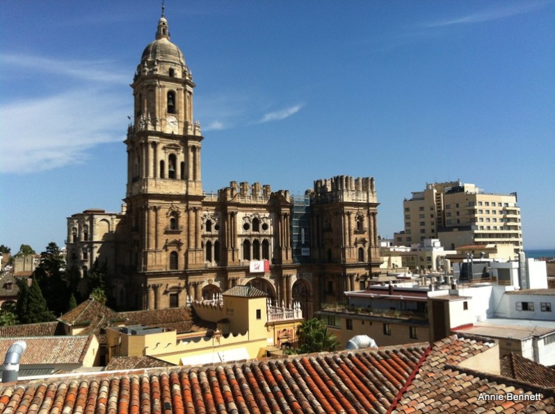 View Malaga cathedral