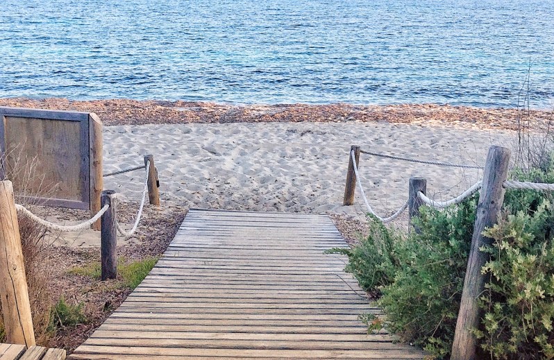 Gecko beach Formentera