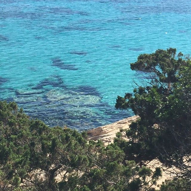 formentera1